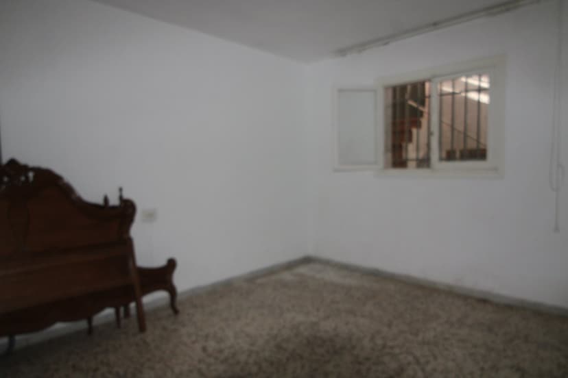 Imagen 19