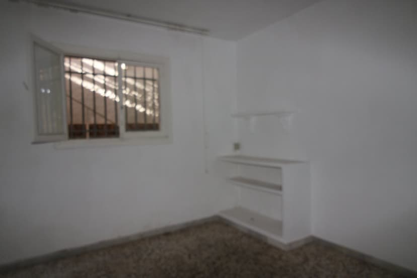 Imagen 12