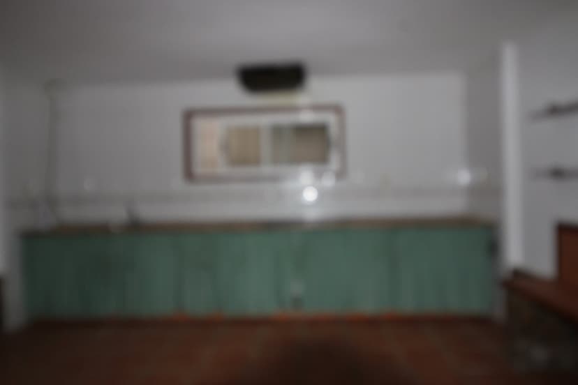 Imagen 11