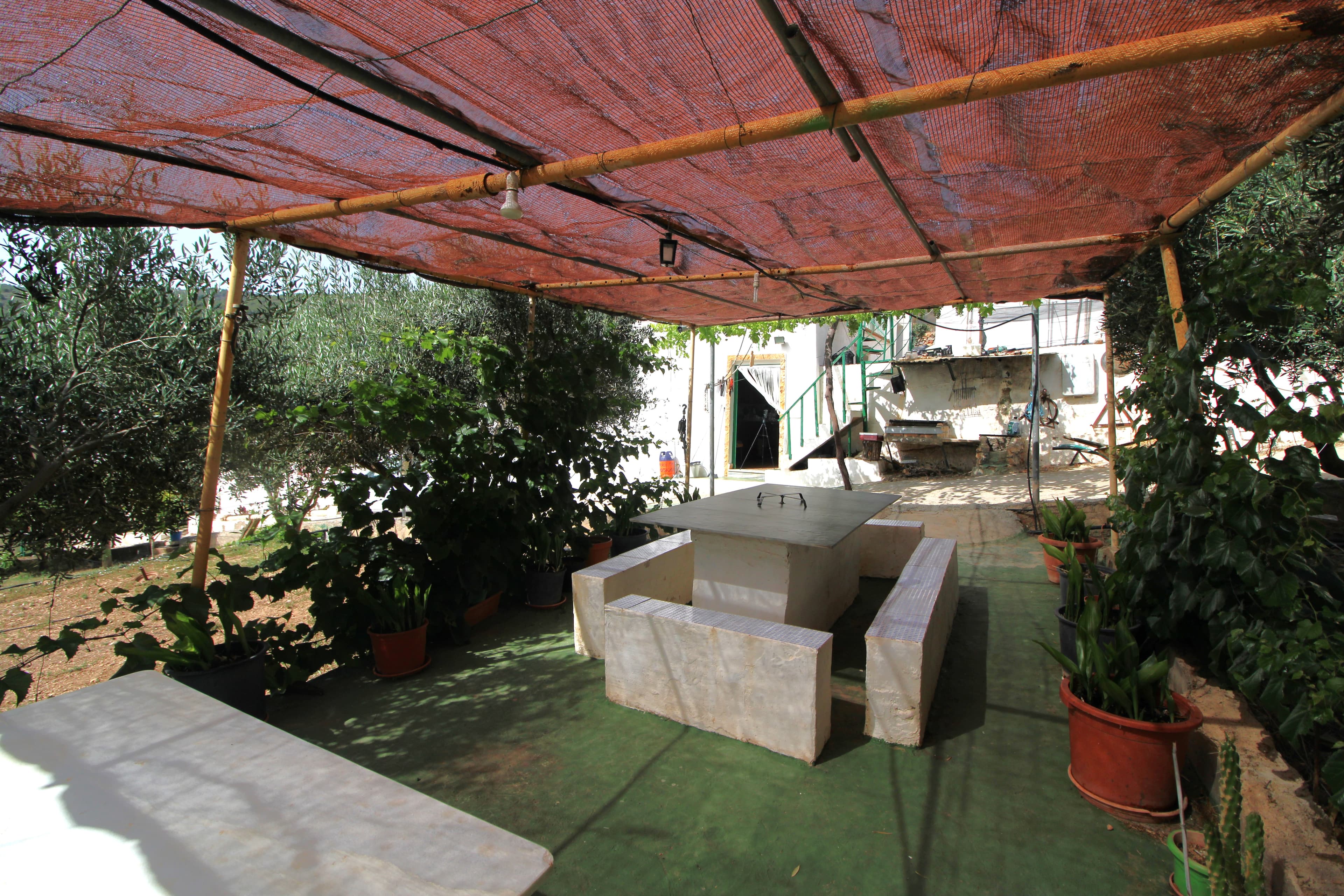 Imagen 5