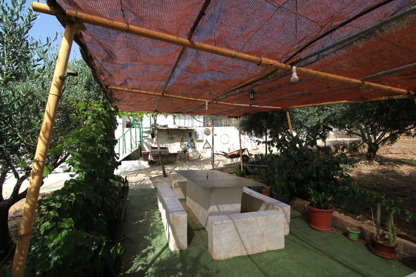 Imagen 6